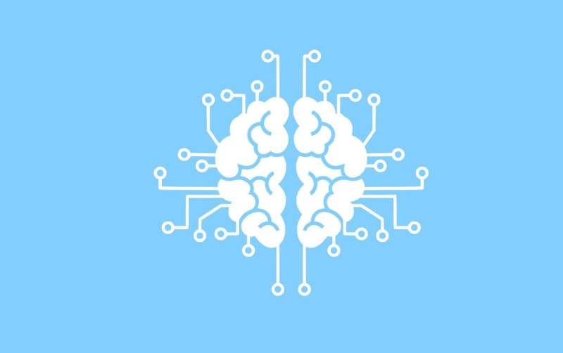 Neuroscience-inspired algorithm enhances bipartite matching efficiency